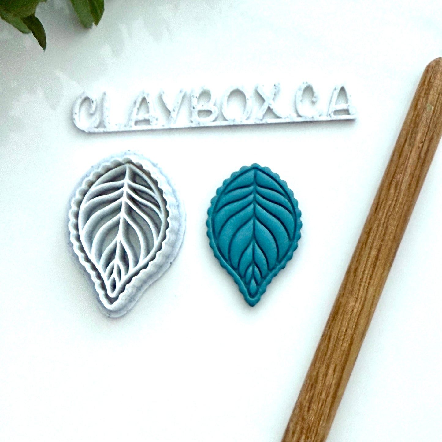 Scalloped Leaf Polymer Clay Cutter - Botanical Leaf Cutter - Leaf Earring Cutter