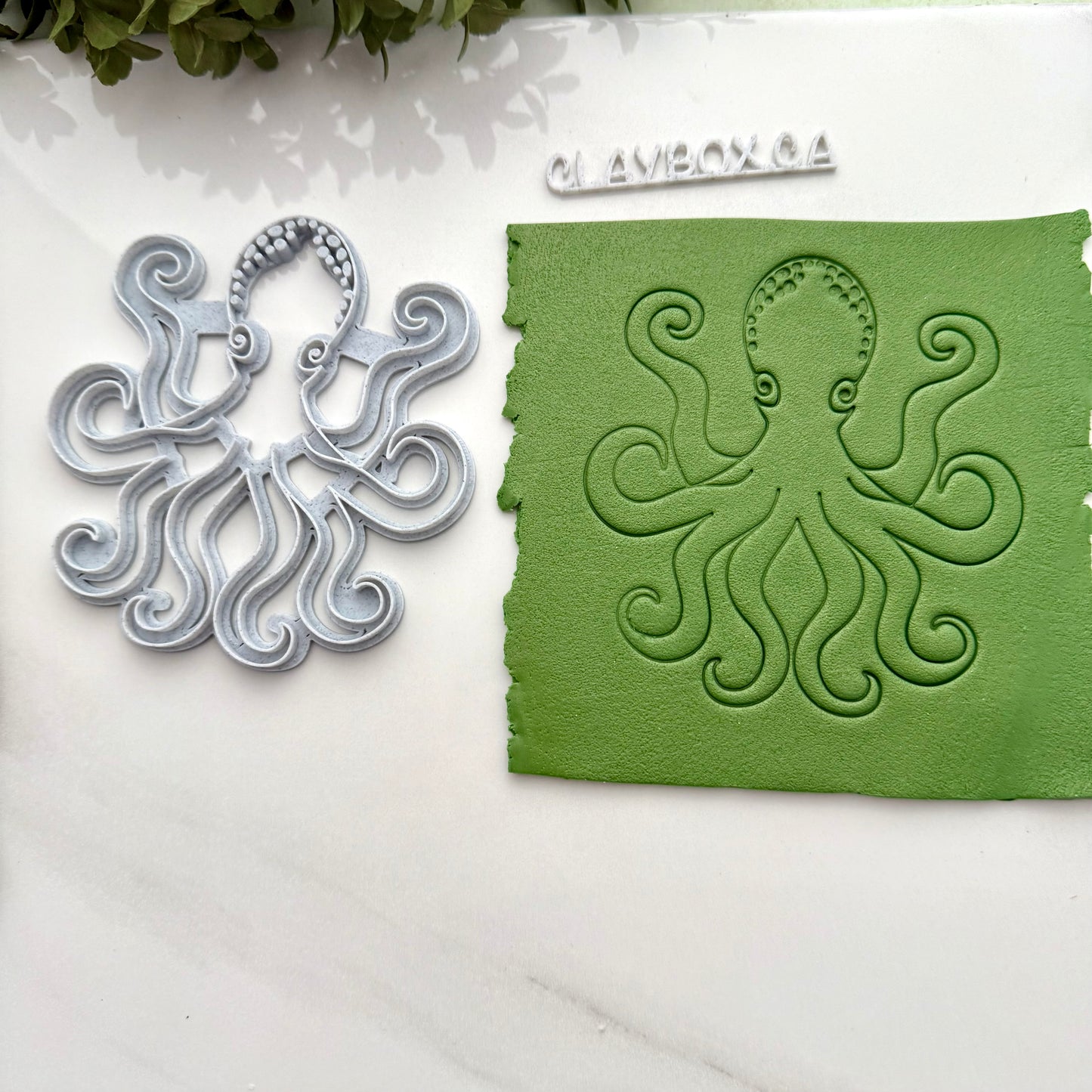 Large Octopus Stamp | Deep Sea Creature Texture for Pottery or Polymer Clay