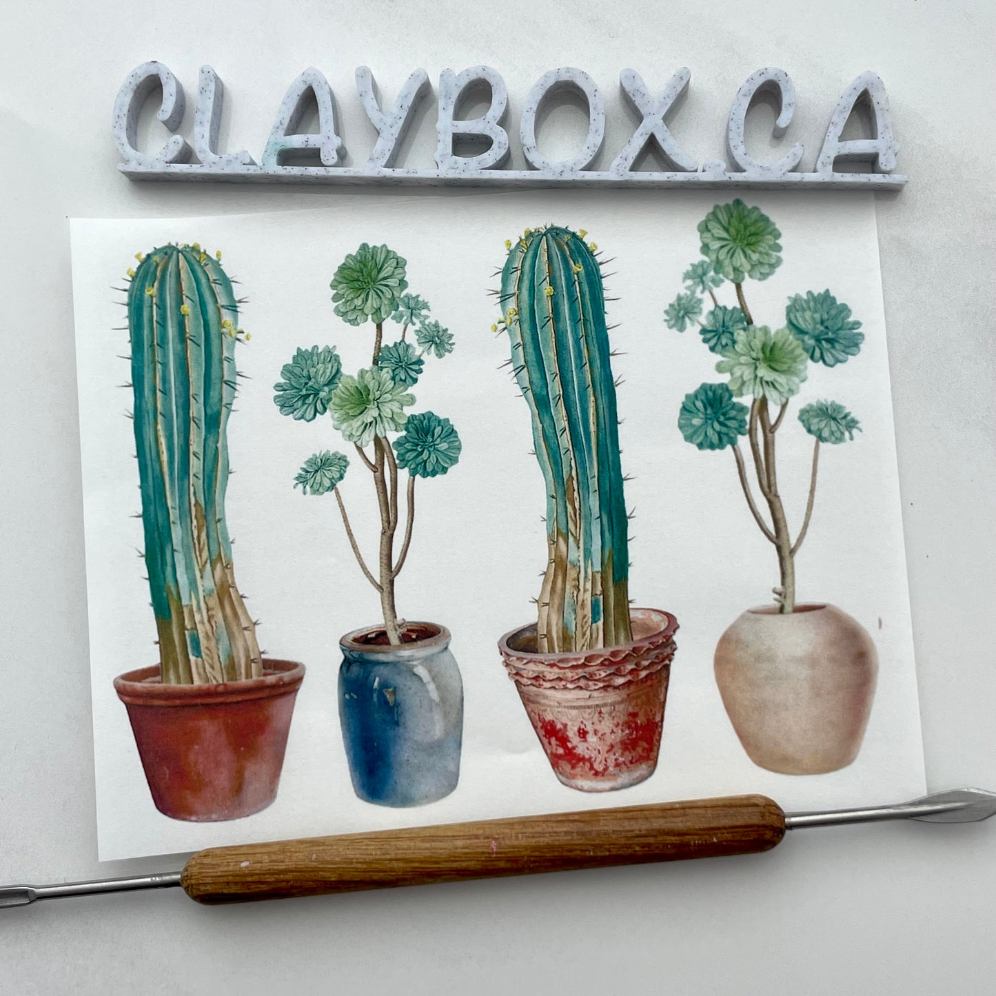 Image transfers - Tall cacti
