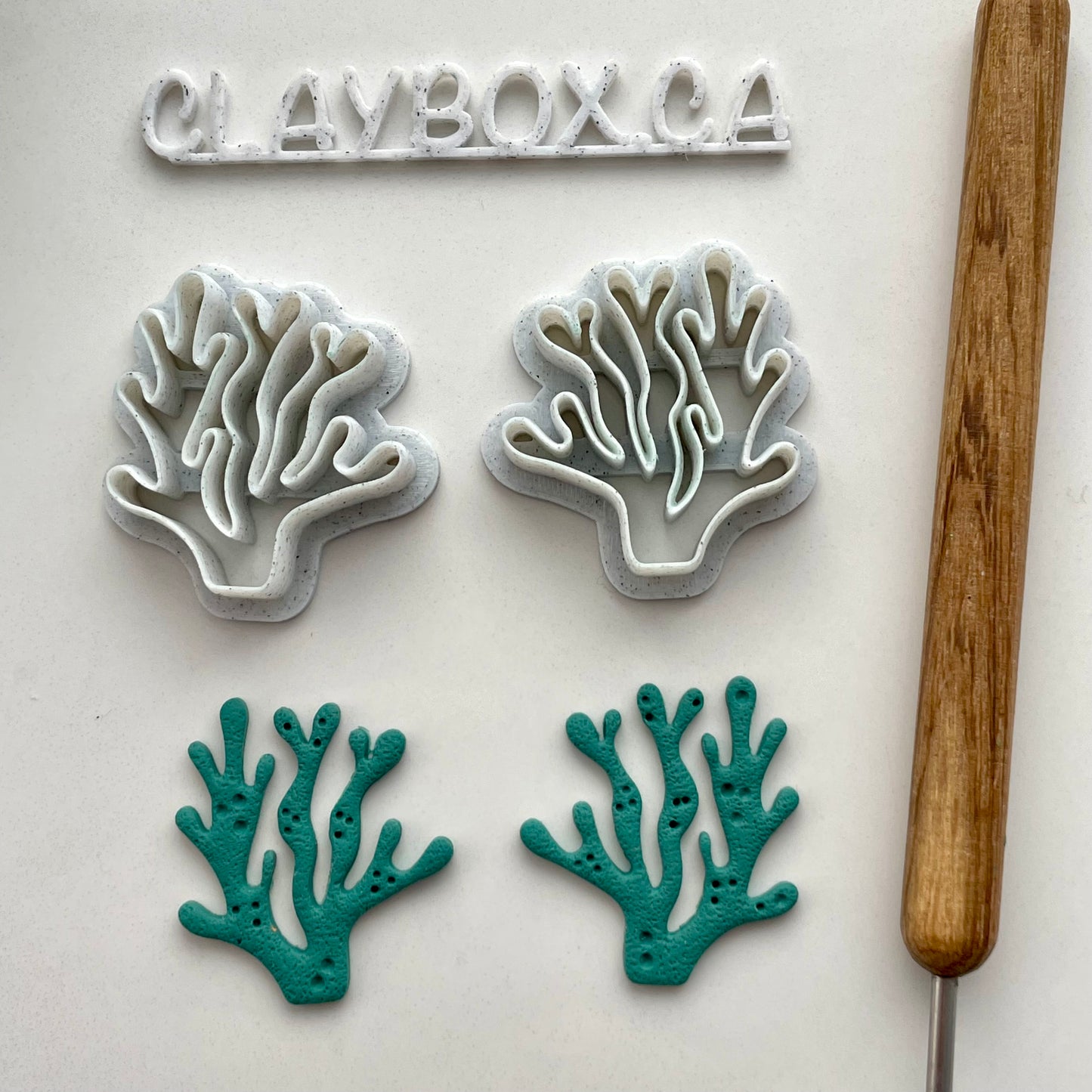 Coral cutter pair / Seaweed cutter pair