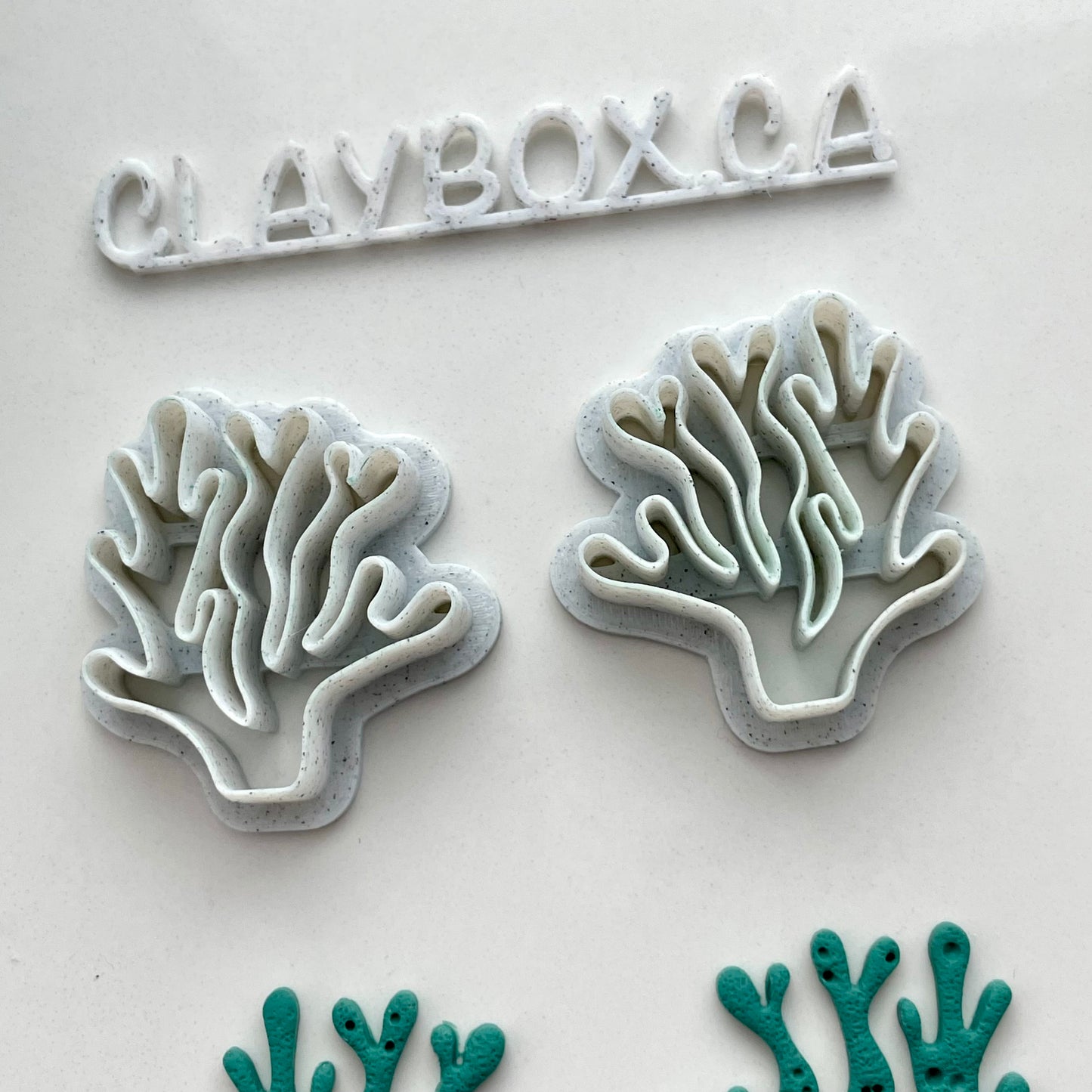 Coral cutter pair / Seaweed cutter pair