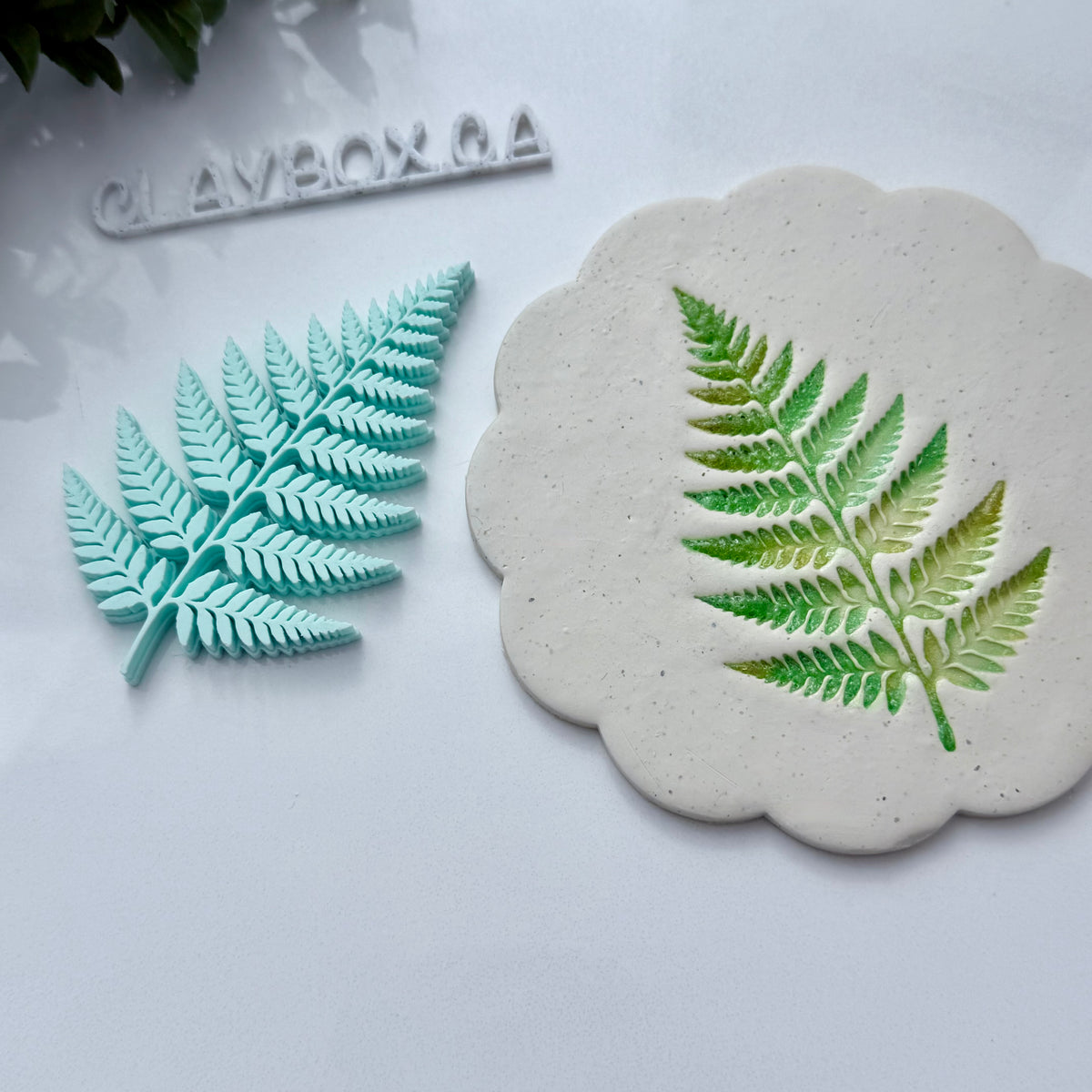 Fern Stamp for Pottery & Polymer Clay - Botanical Clay Stamp