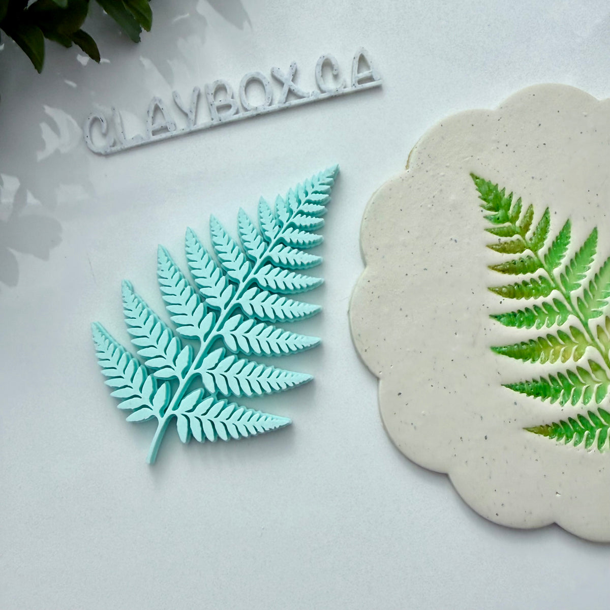 Fern Stamp for Pottery & Polymer Clay - Botanical Clay Stamp