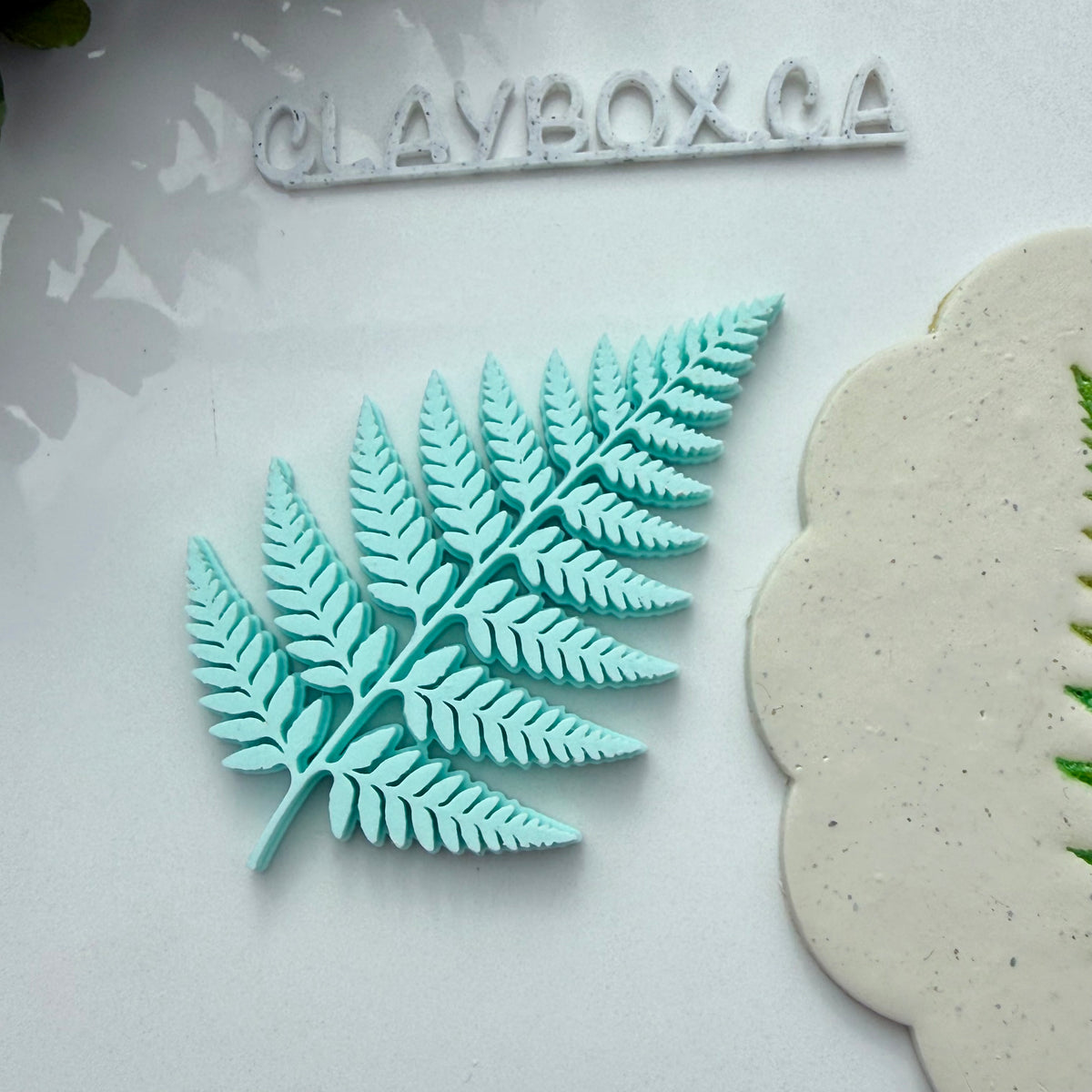 Fern Stamp for Pottery & Polymer Clay - Botanical Clay Stamp