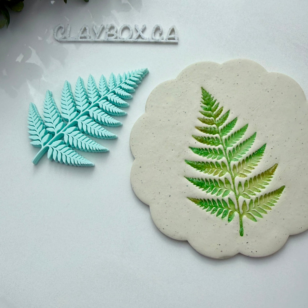 Fern Stamp for Pottery & Polymer Clay - Botanical Clay Stamp