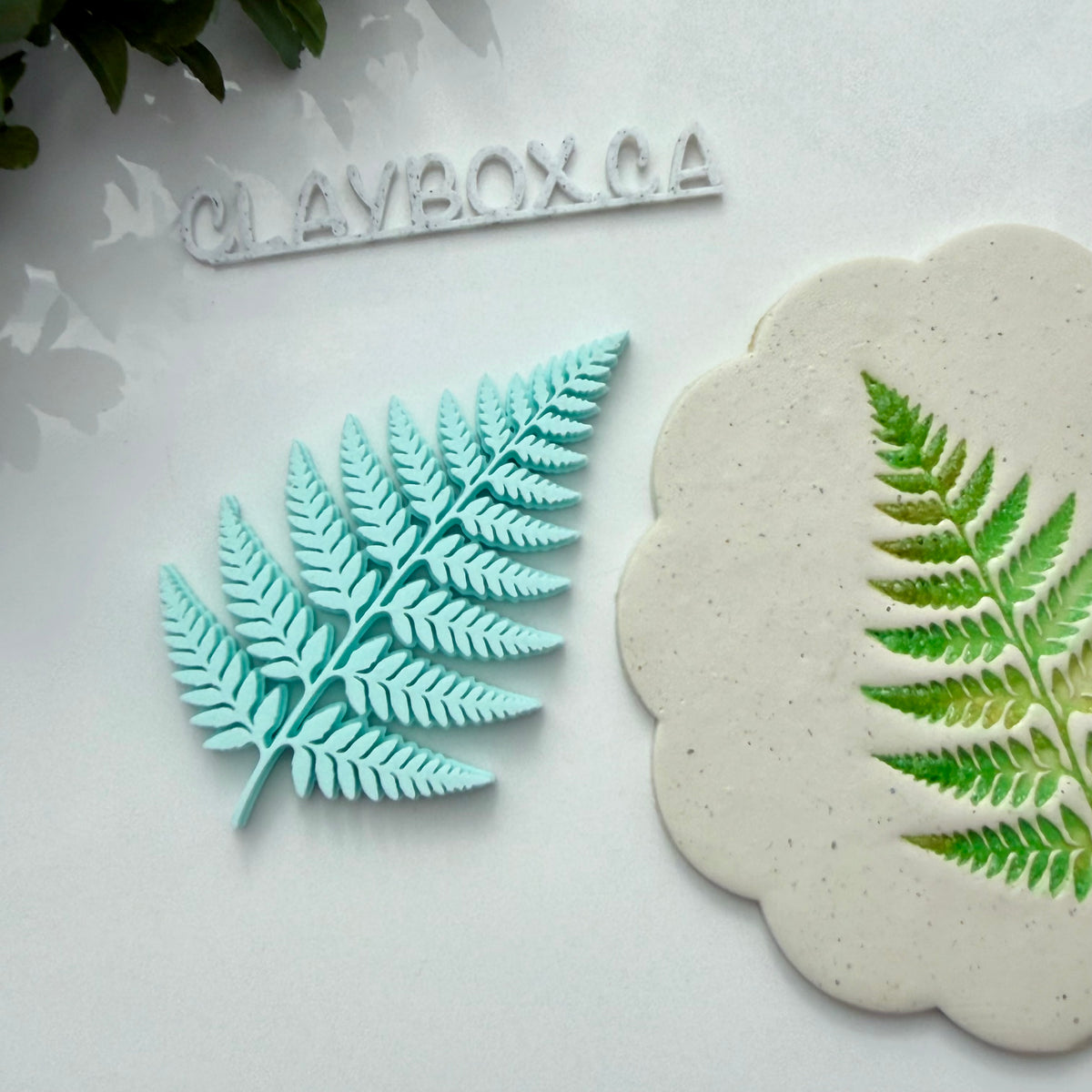 Fern Stamp for Pottery & Polymer Clay - Botanical Clay Stamp