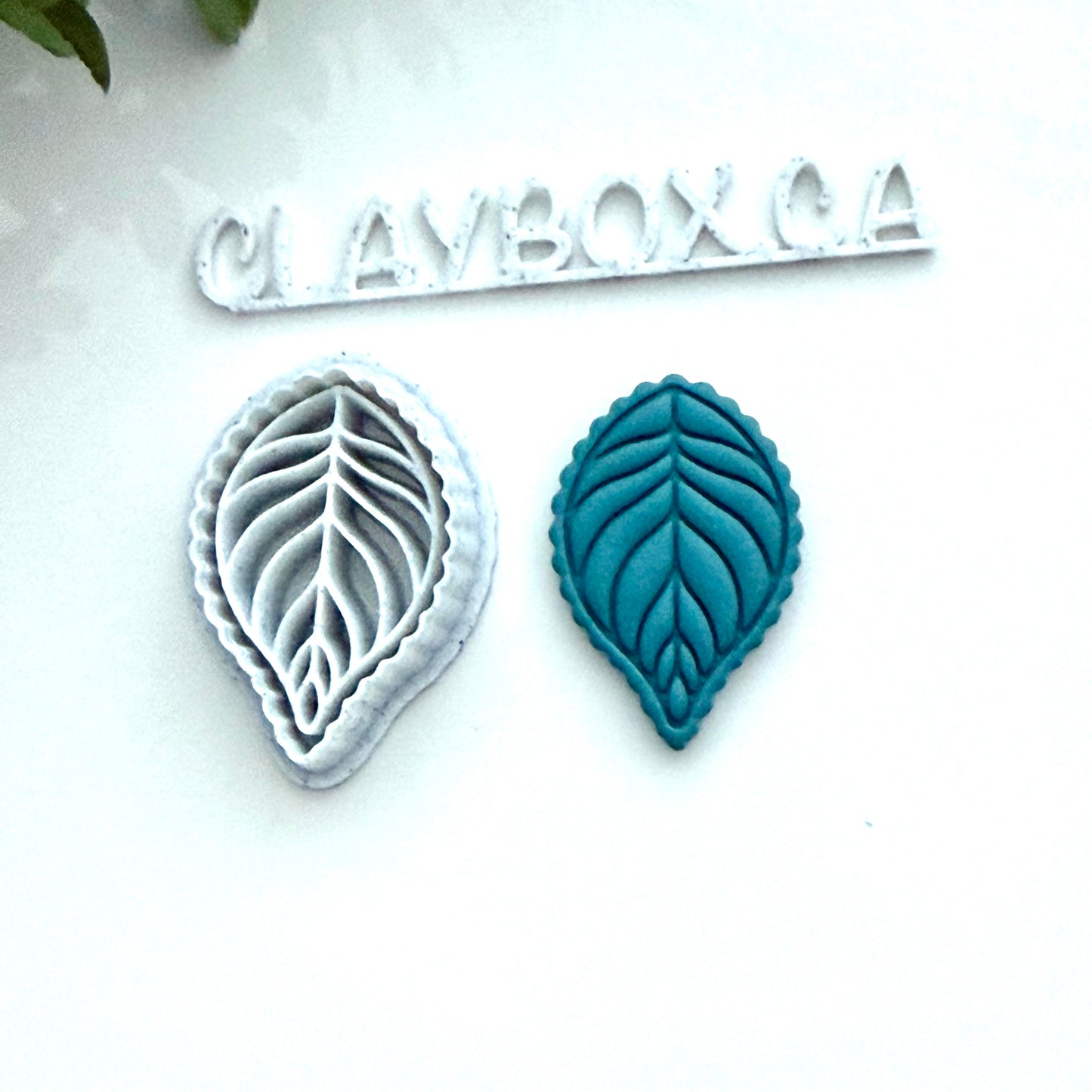 Scalloped Leaf Polymer Clay Cutter - Botanical Leaf Cutter - Leaf Earring Cutter