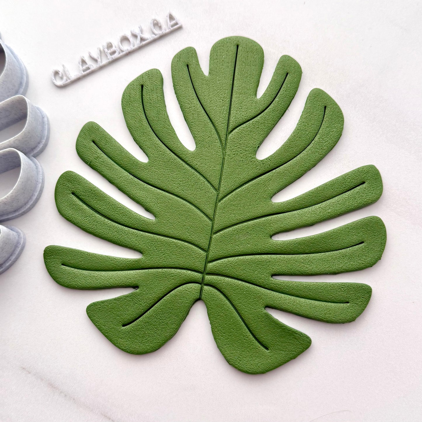 Tropical Leaf Clay Cutter & Stamp Set – Monstera Style | Pottery Tools | Polymer Clay Cutter | Botanical Texture Stamp