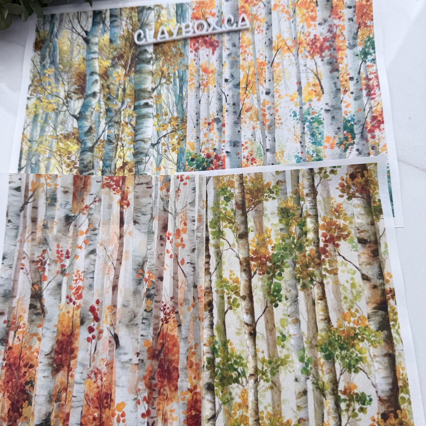 Birch Trees Transfers for Polymer Clay - Set of 4 Water-Soluble Sheets for Polymer Clay