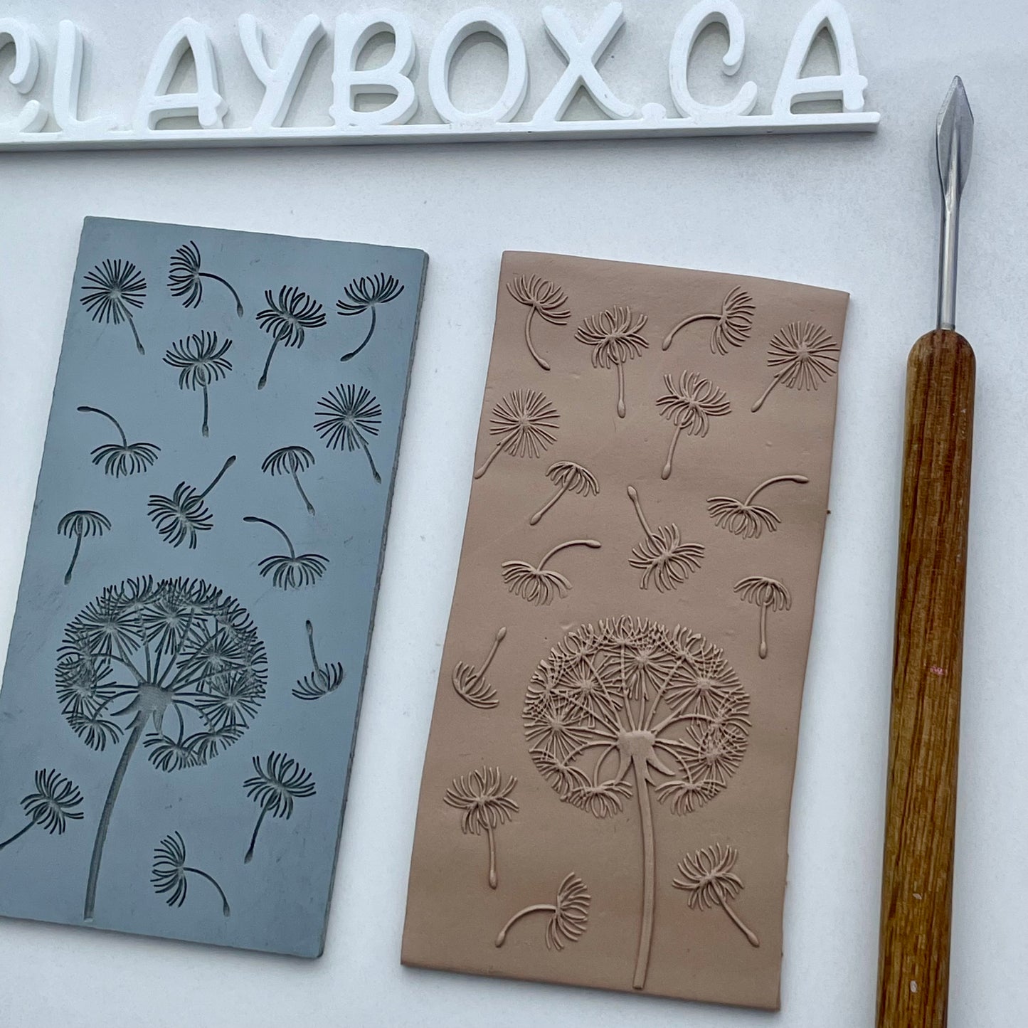 Dandelions texture mat