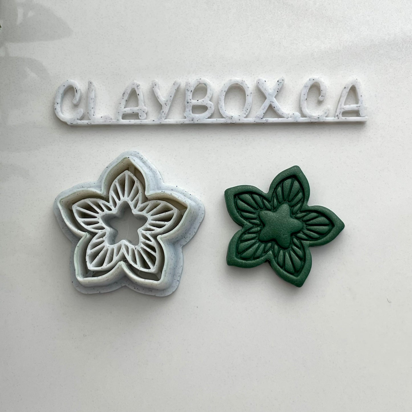 Star flower combined stamp/cutter