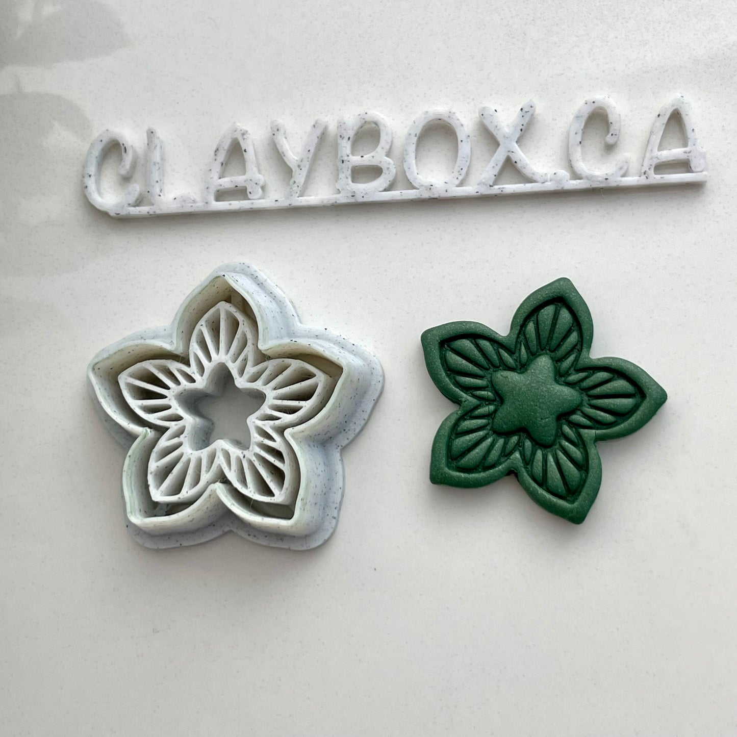 Star flower combined stamp/cutter