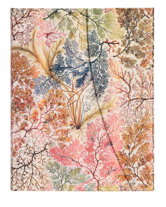 Anemone hardcover journal - 7" x 9" - 144 lined pages