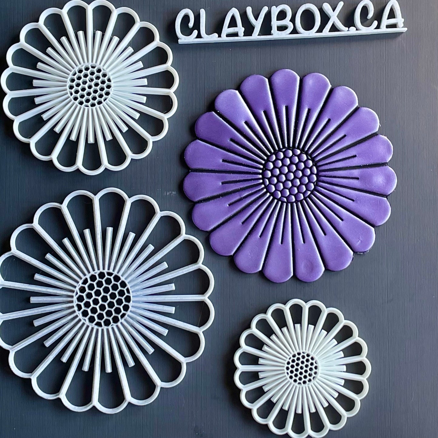 Large Daisy Stamp for Polymer Clay | 3D Printed Rigid Stamp | Ideal for Coasters, Dishes & Wall Decor | 3mm Deep Design